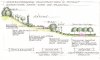 02 - Stadtbildprägende Grünstrukturen Prof. Hans Luz