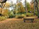 05 - Schillereiche - Blick zurück