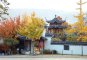 06 - Chinagarten - markante Dachformen im Herbst