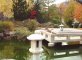 09 - Chinagarten - Teich und Brücke im Herbst