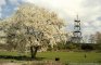 09 - Magnolienblüte im Tal der Rosen (Hagen Schmitt 2004)